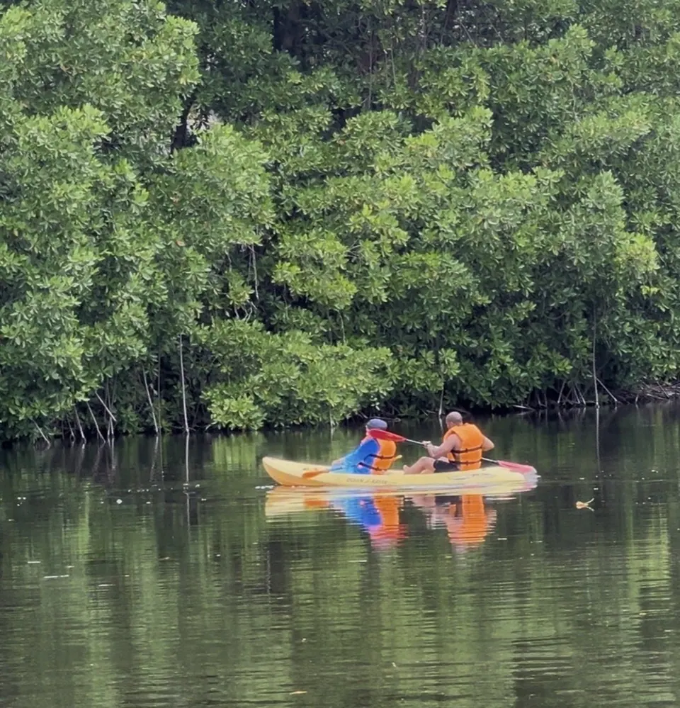 Kayak Rides