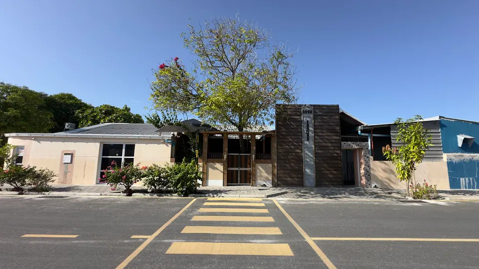 SANDHA from the street, with its tree and the zebra crossing out front