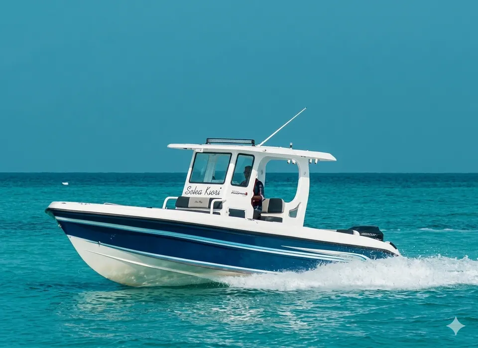 Roxy 28 speed launch