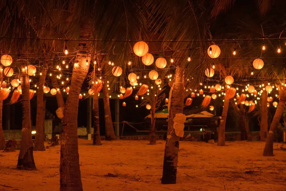 Paper lanterns and string lights among the palms