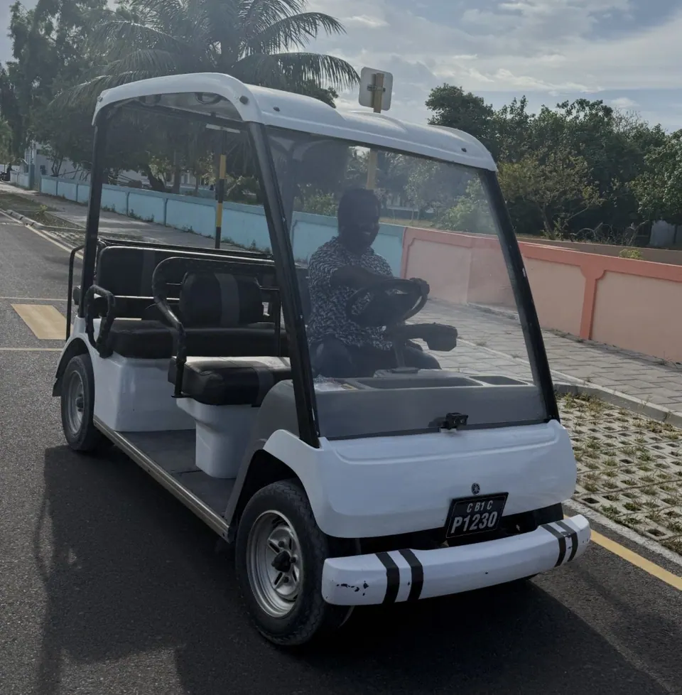 Buggy